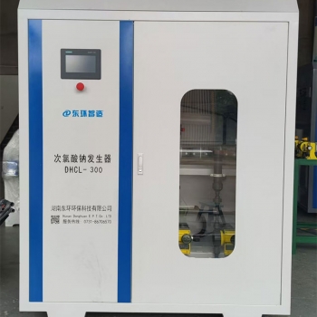 300g次氯酸鈉發(fā)生器